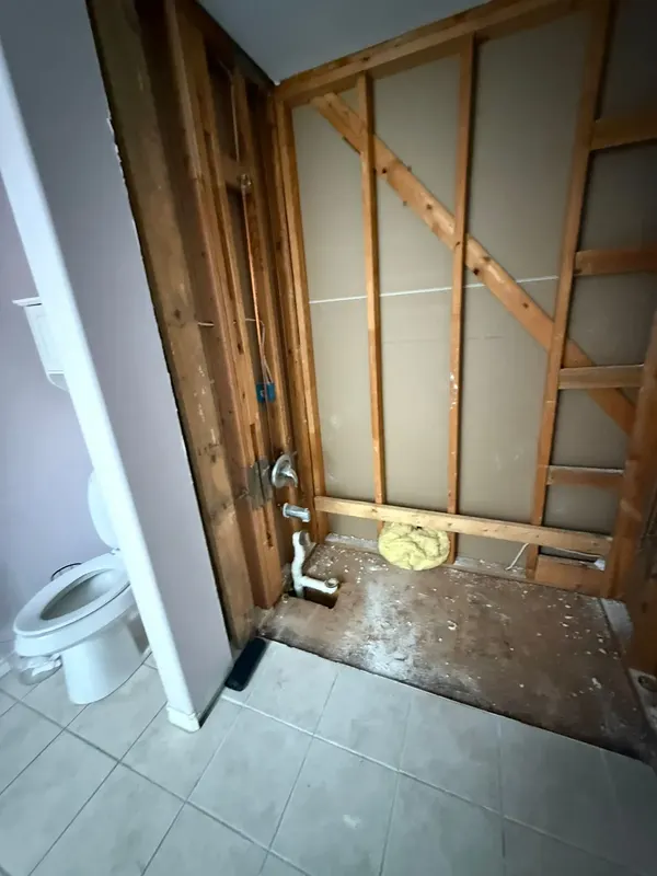 Demo to the studs with new plumbing rough-in for the shower valve
